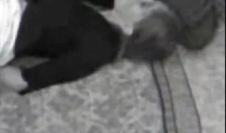 私は妻と一緒にいます。 鈴木 一徹 エロ 動画 無料